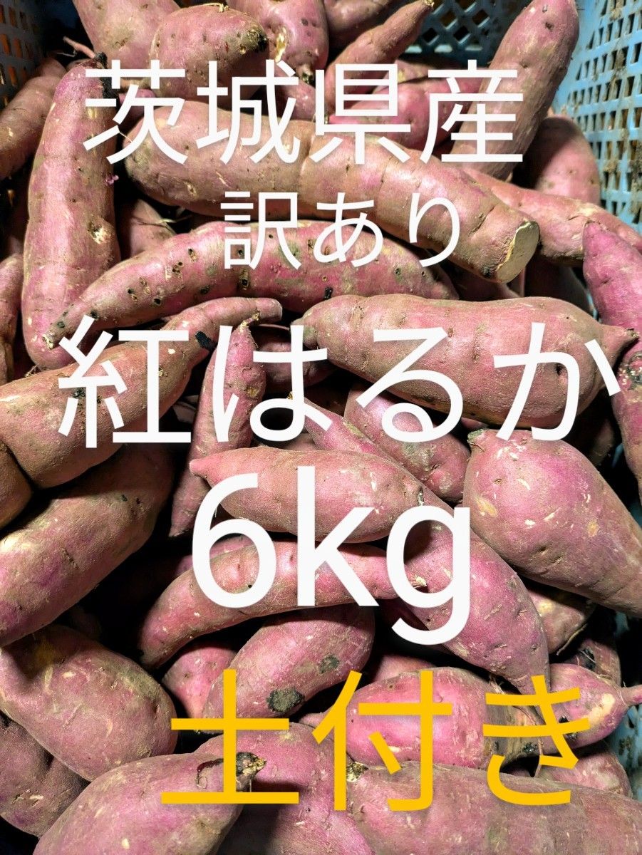 茨城県産さつまいも 訳あり紅はるか|Yahoo!フリマ(旧PayPay 茨城県産さつまいも 訳あり紅はるか|Yahoo!フリマ(旧PayPay