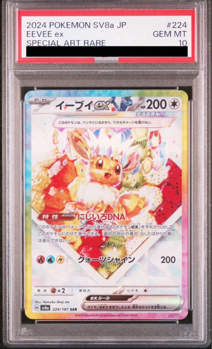 PSA10 2連番イーブイex SAR 203 テラスタルフェス PSA10 2連番 テラスタルフェス イーブイex SAR