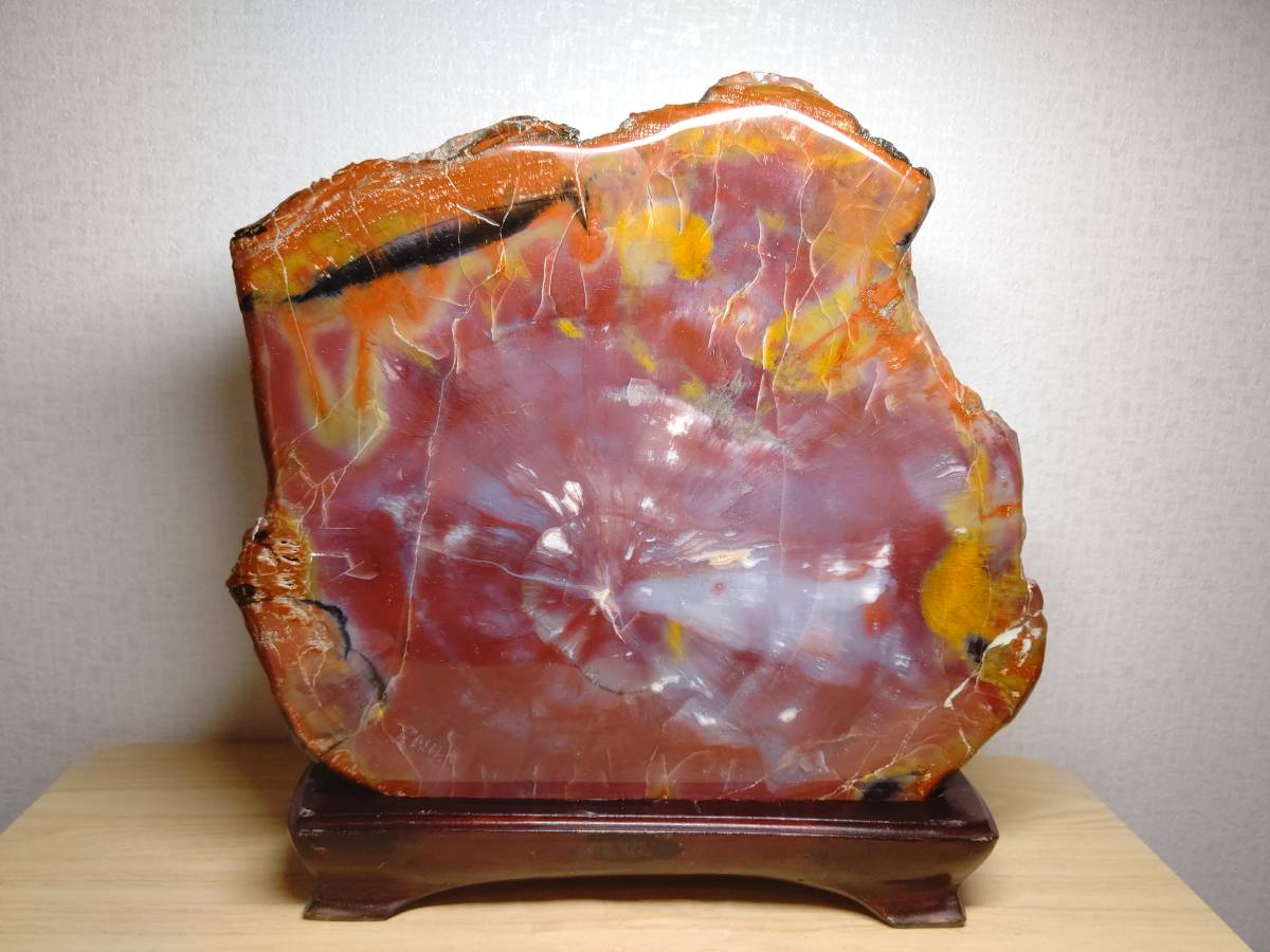 ヤフオク! - 【珪化木】◇9kg◇ アリゾナ珪化木 化石 ジャスパー 碧...