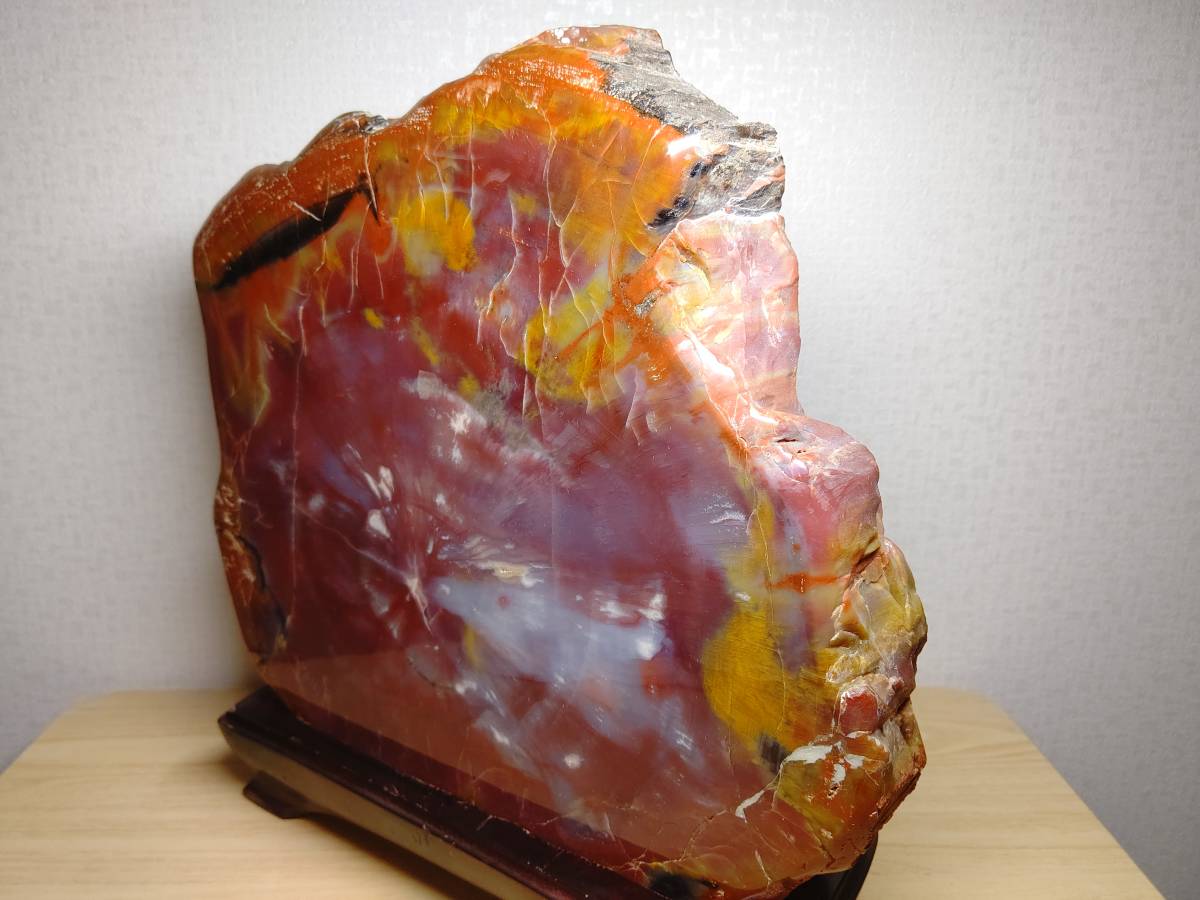 珪化木】◇9kg◇ アリゾナ珪化木 化石 ジャスパー 碧玉 赤石 赤玉石 錦
