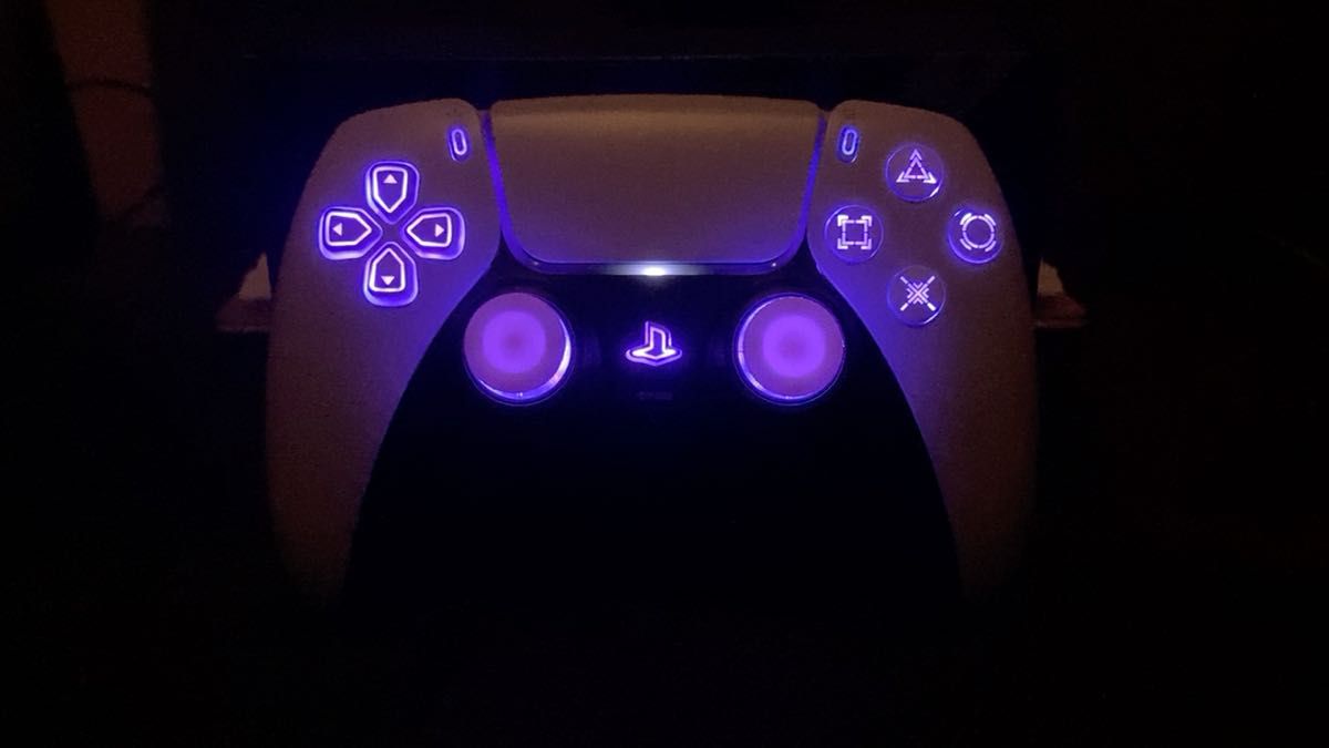 PS5 DualSense コントローラー カスタムコントローラー プロコン