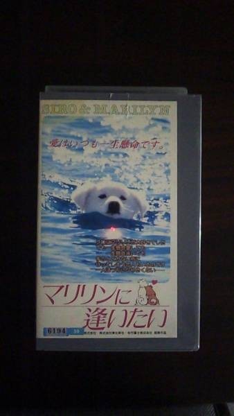 [VHS] Marilyn ... want cheap rice field . beautiful Kato .. rental .