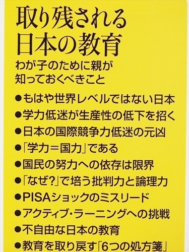 ★美品★　『取り残される日本の教育』　教育　学力　学校　尾木直樹　新書　★同梱ＯＫ★