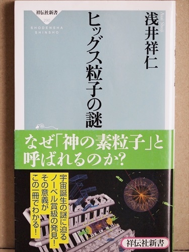 『ヒッグス粒子の謎』　2012年7月4日　スイス・ジュネーヴ　「最後の素粒子」　ピーター・ヒッグス　浅井 祥仁　新書　★同梱ＯＫ★_画像1