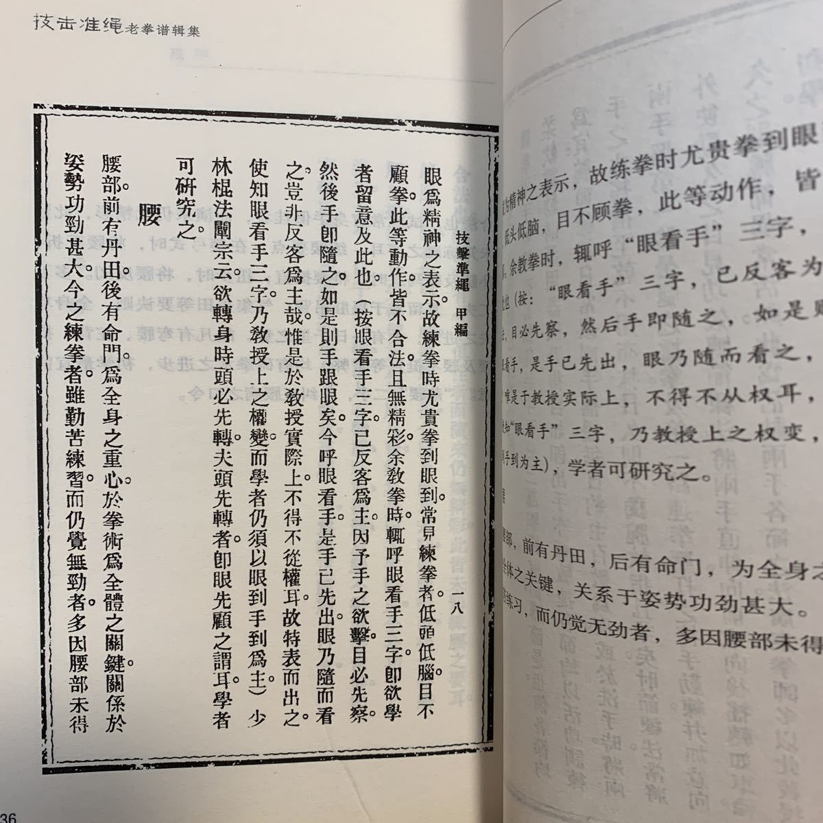 【中国武術】拳術教科書　技撃准縄　中国武術の基本、技撃、実戦_画像4