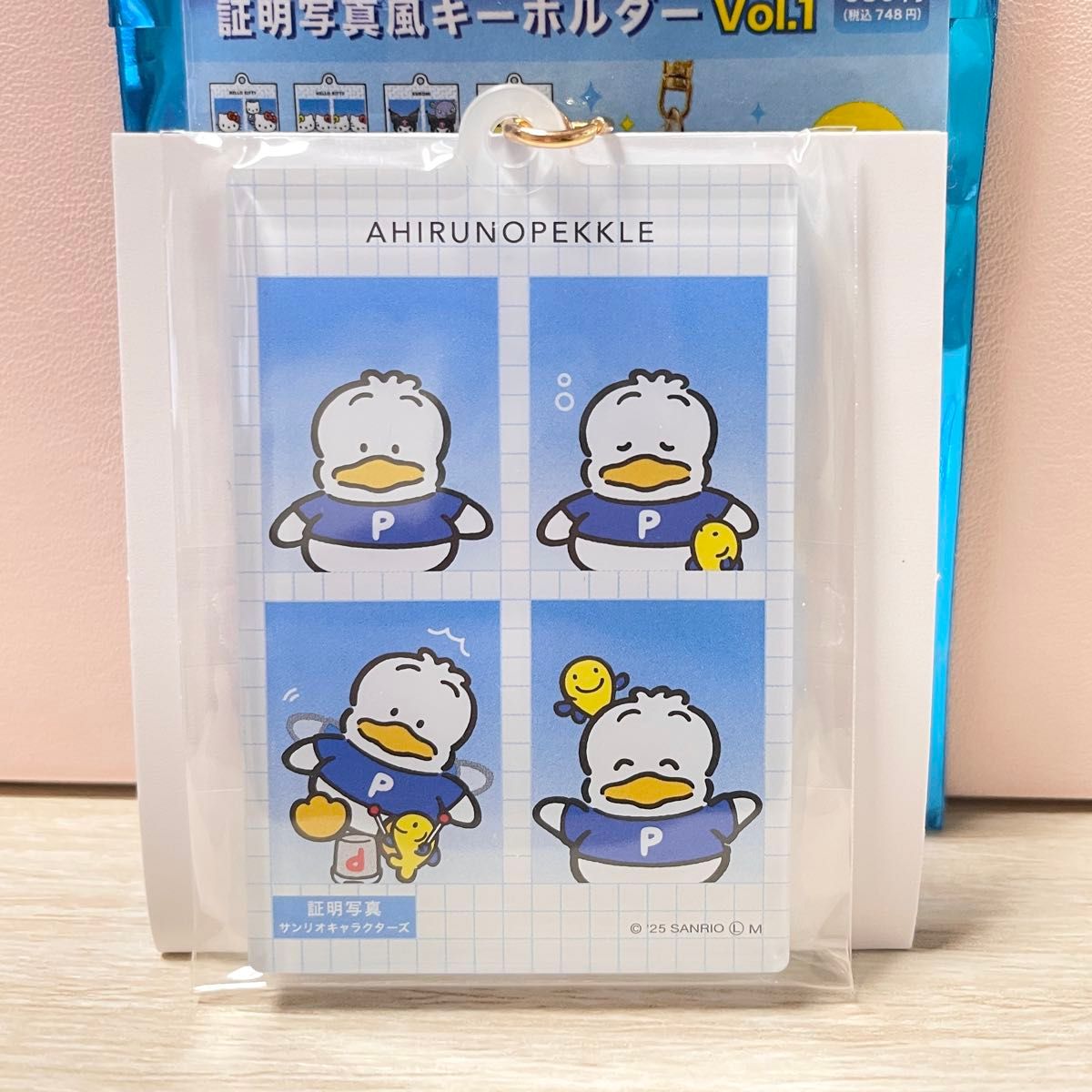 サンリオ 証明写真風キーホルダー Vol.1 Vol.2 証明写真 アクリルキーホルダー キーホルダー