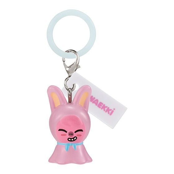 スキズ skzoo ガチャ ポップアップ めじるしアクセサリー コンプリート skzoo めじるしアクセサリー Stray Kids スキズ コンプ