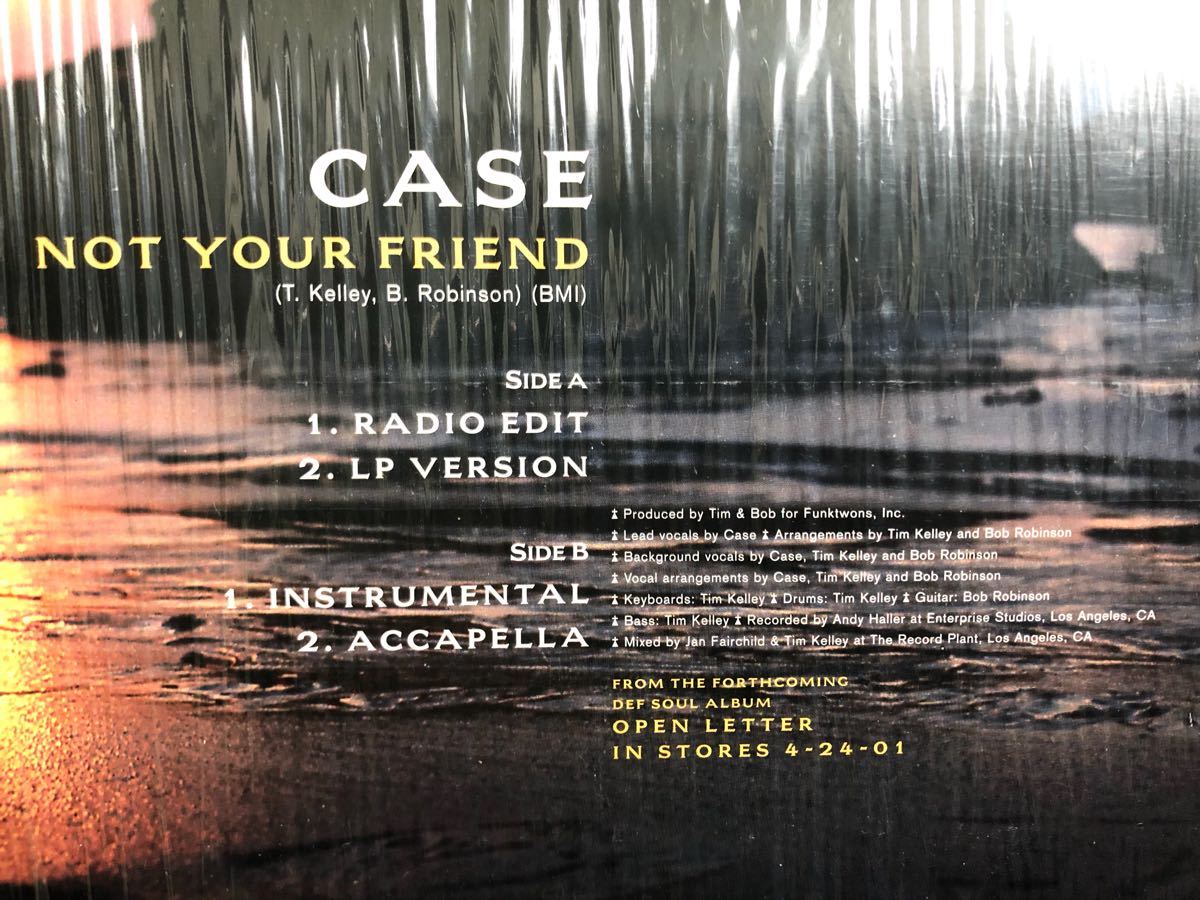 2001 Case / Not Your Friend ケース ノット ユア フレンド Original US 12 Def Soul Def Jam Island デフソウル デフジャム 絶版_画像5