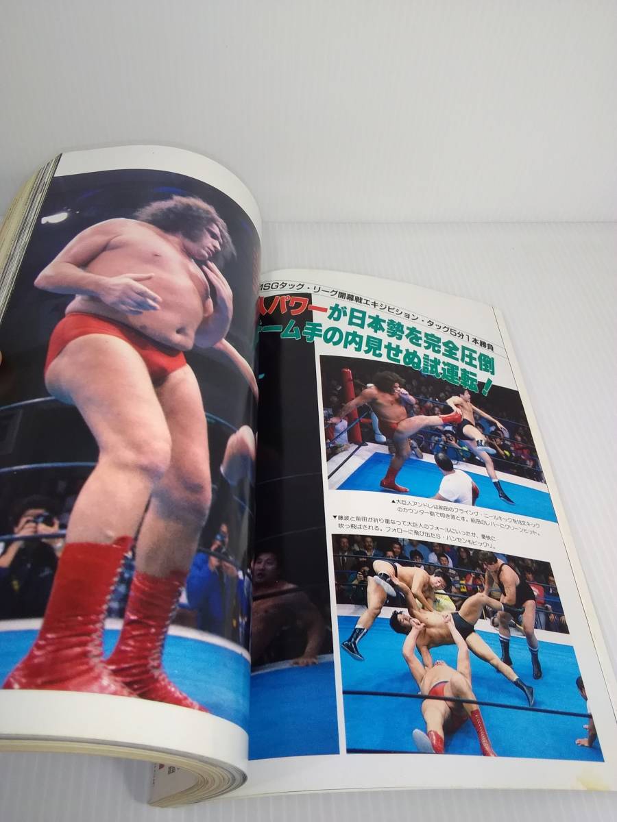 月刊　ゴング　1984年1月号　【プロレスまるごと面白思考】Vol.17 NO.1_画像5