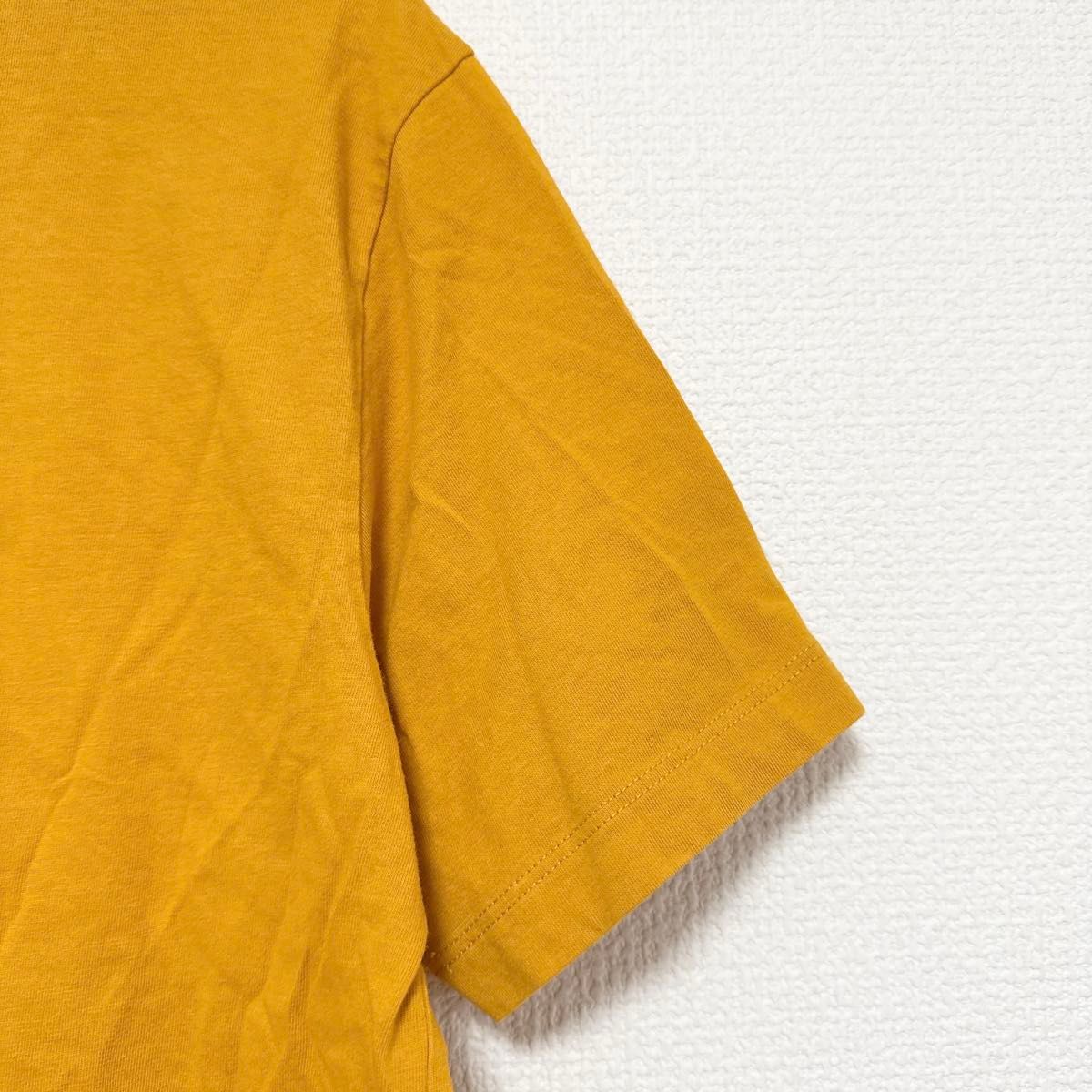 COACH コーチ スヌーピー チャーリーブラウン Tシャツ S-M｜Yahoo 