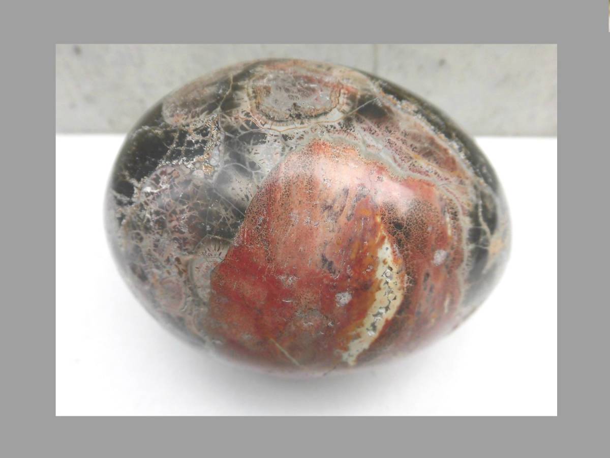 菊花石と推定される卵型の物体 検索用語 恐竜の卵 化石 貿易 趣味 収集 中国 大陸 太古 ロマン 