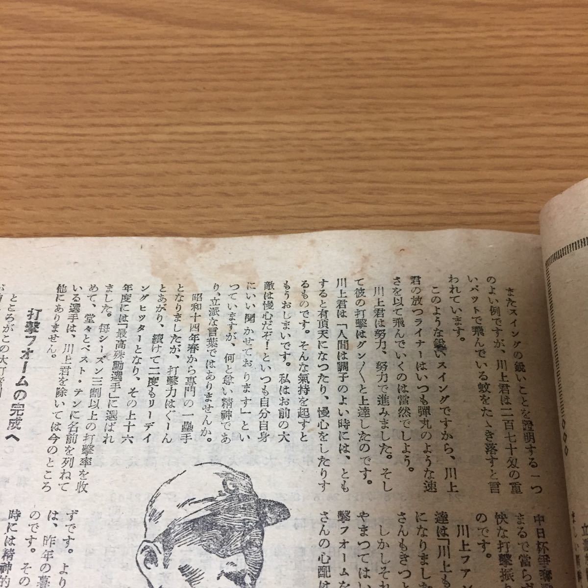 当時物 少年ベースボール 9月号 1948年(昭和23年)9月1日発行 野球 青田昇 甲子園_画像7