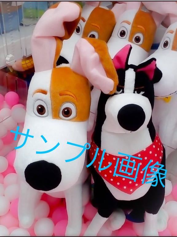 ヤフオク 新品 未開封 ペット マックス ルースター スペシ ヤフオク 新品 未開封 ペット マックス ルースター スペシ