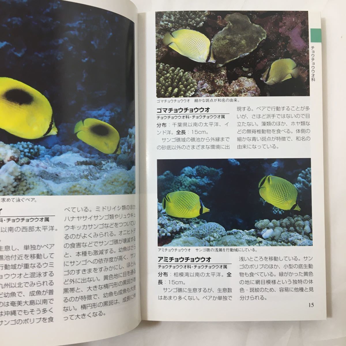 zaa-024★海水魚ガイドブック―サンゴ礁の魚たちのすべてがわかる 　大方 洋二 (著)(日本語) 単行本 1998/7/1