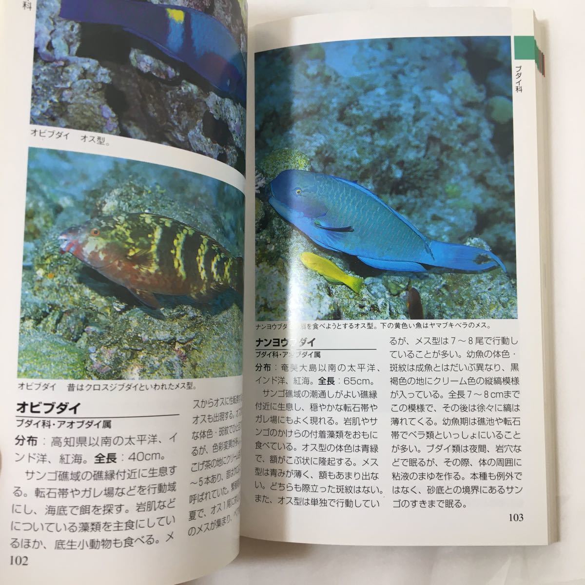 zaa-024★海水魚ガイドブック―サンゴ礁の魚たちのすべてがわかる 　大方 洋二 (著)(日本語) 単行本 1998/7/1