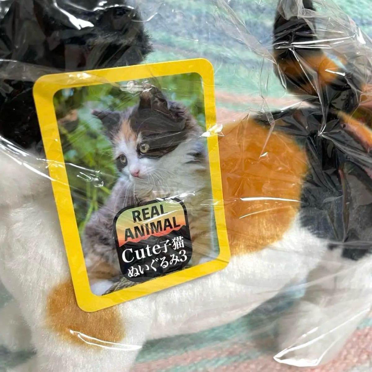新品 ☆ 未開封 リアルアニマル cute 子猫 ぬいぐるみ 猫 三毛猫 リアル ねこ ネコ プレゼント 非売品 プライズ
