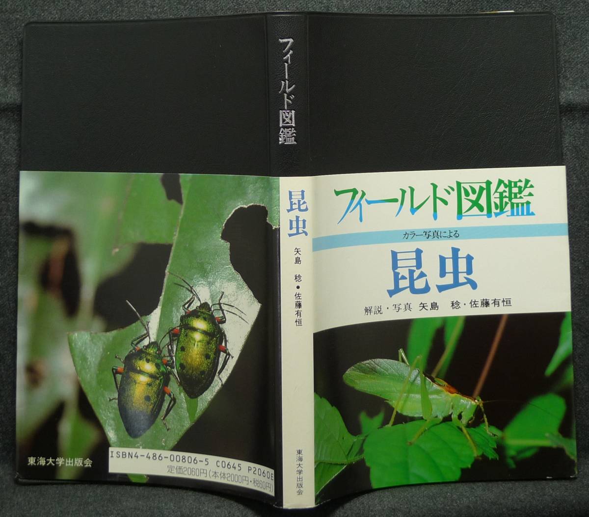 【超希少】【初版】古本　昆虫　フィールド図鑑　解説・写真：矢島稔、佐藤有恒　東海大学出版会_画像4