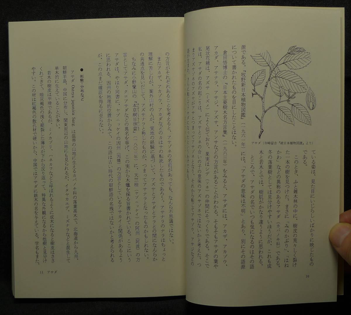 【超希少】【新品並美品】古本　木の名の由来　東書選書１３１　著者：深津正・小林義雄　東京書籍（株）_画像5