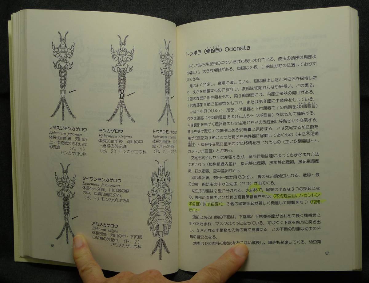 Yahoo!オークション - 【超希少】【初版、美品】古本 Yahoo!オークション - 【超希少】【初版、美品】古本