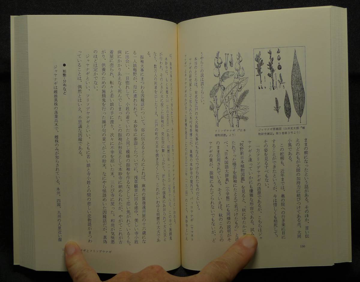 【超希少】【新品並美品】古本　木の名の由来　東書選書１３１　著者：深津正・小林義雄　東京書籍（株）_画像8