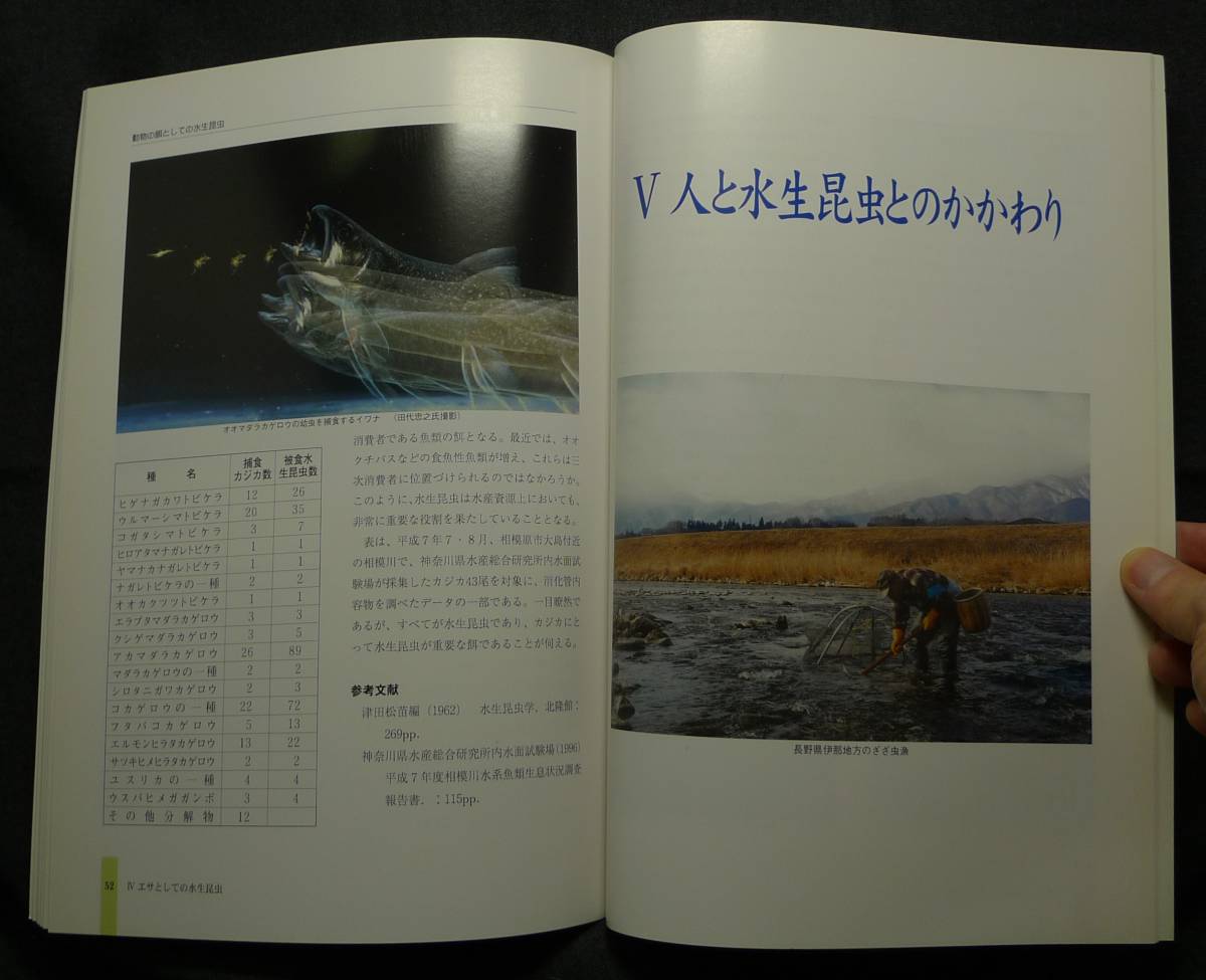 [ super rare ][ beautiful goods ] secondhand book aquatic insect. world in water. small insect .. Heisei era 11 fiscal year summer special exhibition llustrated book Sagamihara city . museum 
