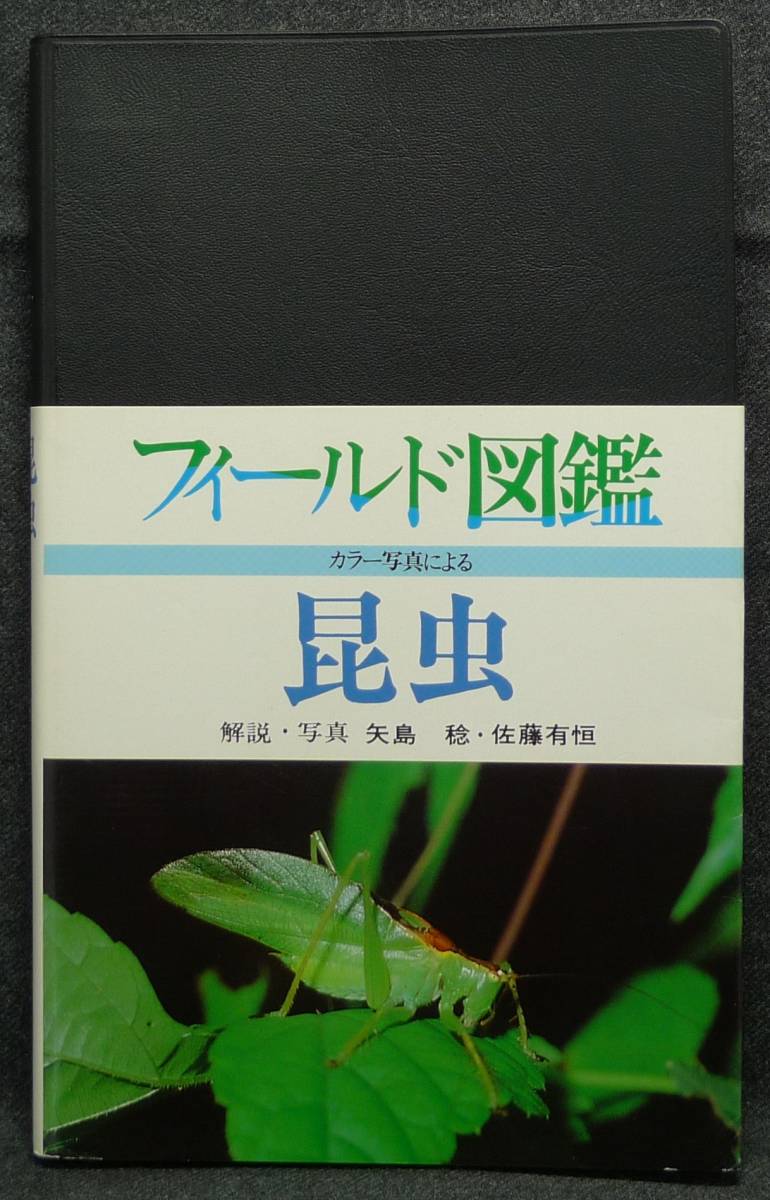 【超希少】【初版】古本　昆虫　フィールド図鑑　解説・写真：矢島稔、佐藤有恒　東海大学出版会_画像3