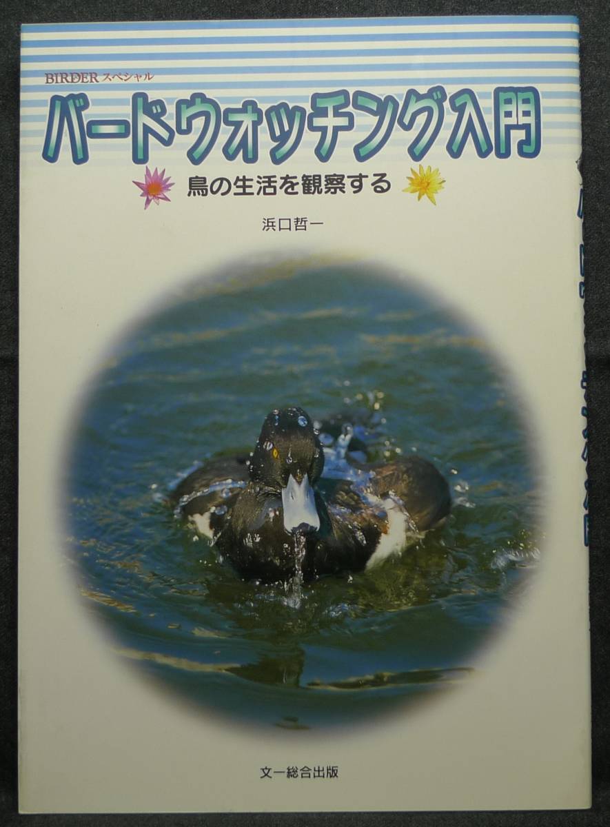 【超希少】【初版、美品】古本　バードウォッチング入門　鳥の生活を観察する　ＢＩＲＤＥＲスペシャル　著者：浜口哲一　文一総合出版_画像1