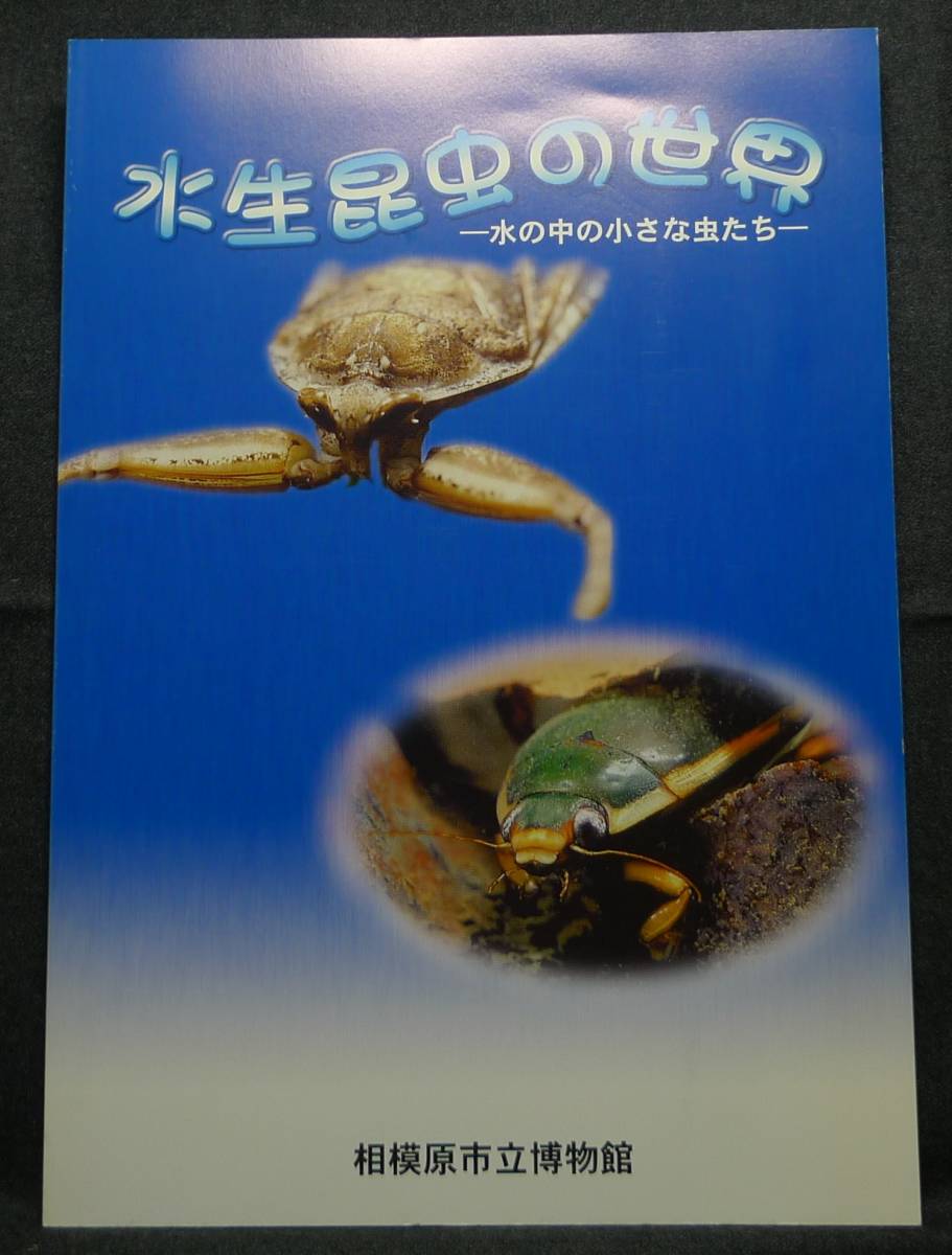 [ super rare ][ beautiful goods ] secondhand book aquatic insect. world in water. small insect .. Heisei era 11 fiscal year summer special exhibition llustrated book Sagamihara city . museum 