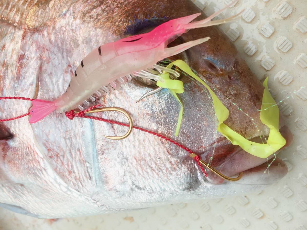 アマダイ真鯛釣れました Newカラー ピンク夜光鯛ラバシュリンプ3個セット 鯛カブラ真鯛 エギ海老がまかつシマノダイワ Jauce Shopping Service Yahoo Japan Auctions Ebay Japan アマダイ真鯛釣れました Newカラー ピンク夜光鯛ラバシュリンプ3個セット 鯛カブラ真鯛 エギ海老がまかつシマノダイワ Jauce Shopping Service Yahoo Japan Auctions Ebay Japan