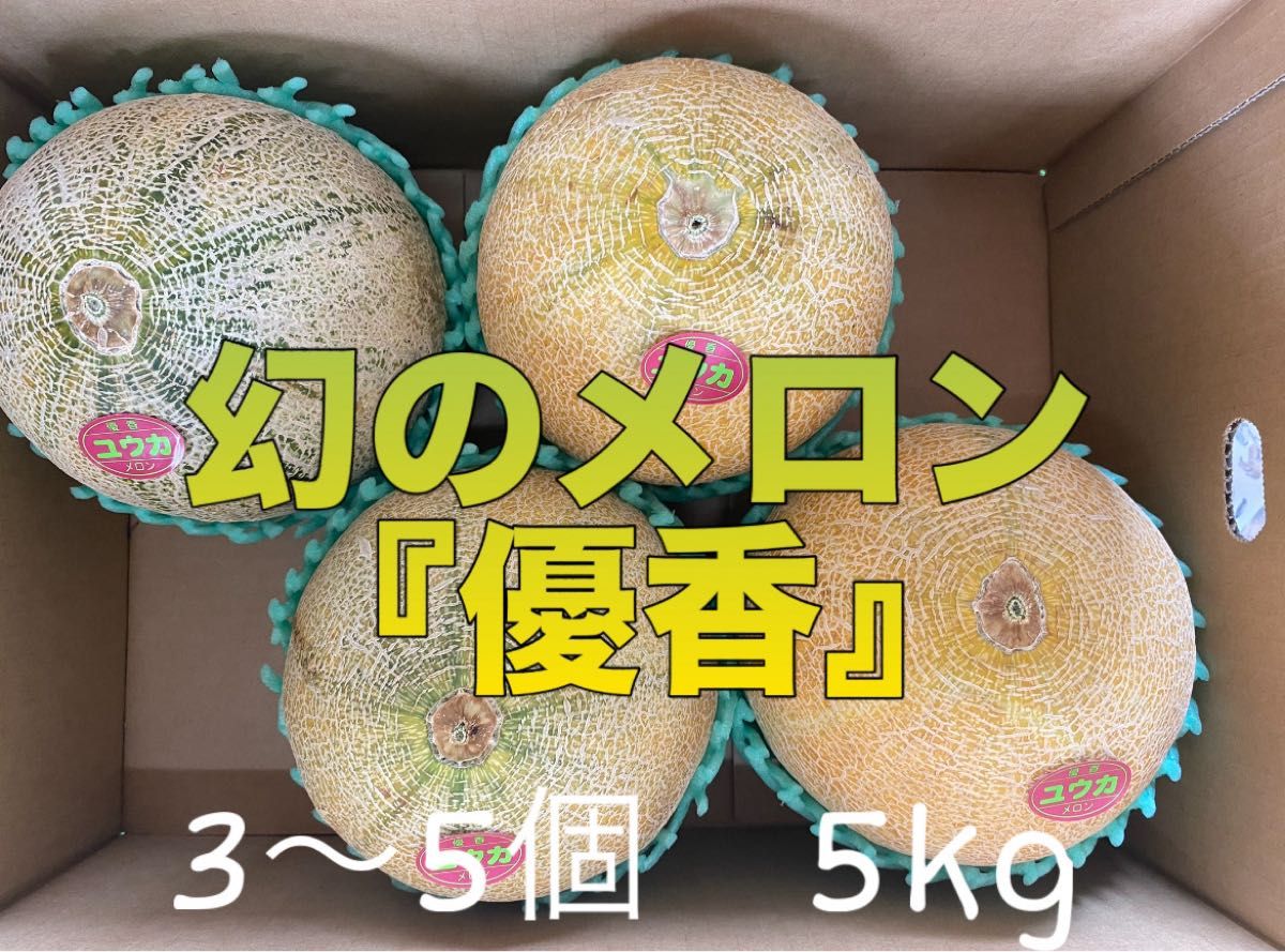 幻のメロン 優香メロン ゆうか メロン ユウカメロン 茨城県 メロン 6kg 幻のメロン 優香メロン ゆうか メロン ユウカメロン 茨城県