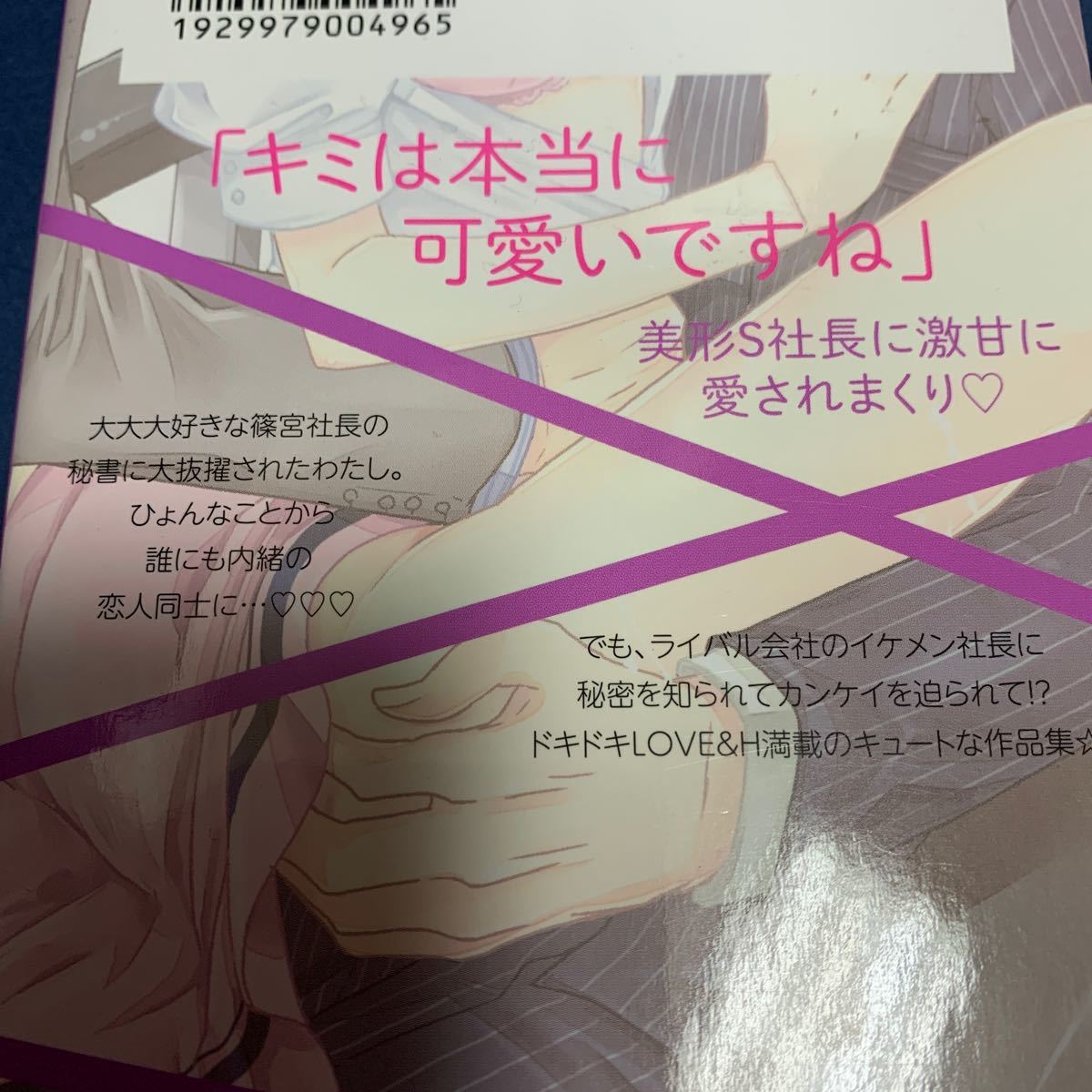 Paypayフリマ s社長の愛玩秘書 あくた琳子 Paypayフリマ s社長の愛玩秘書 あくた琳子