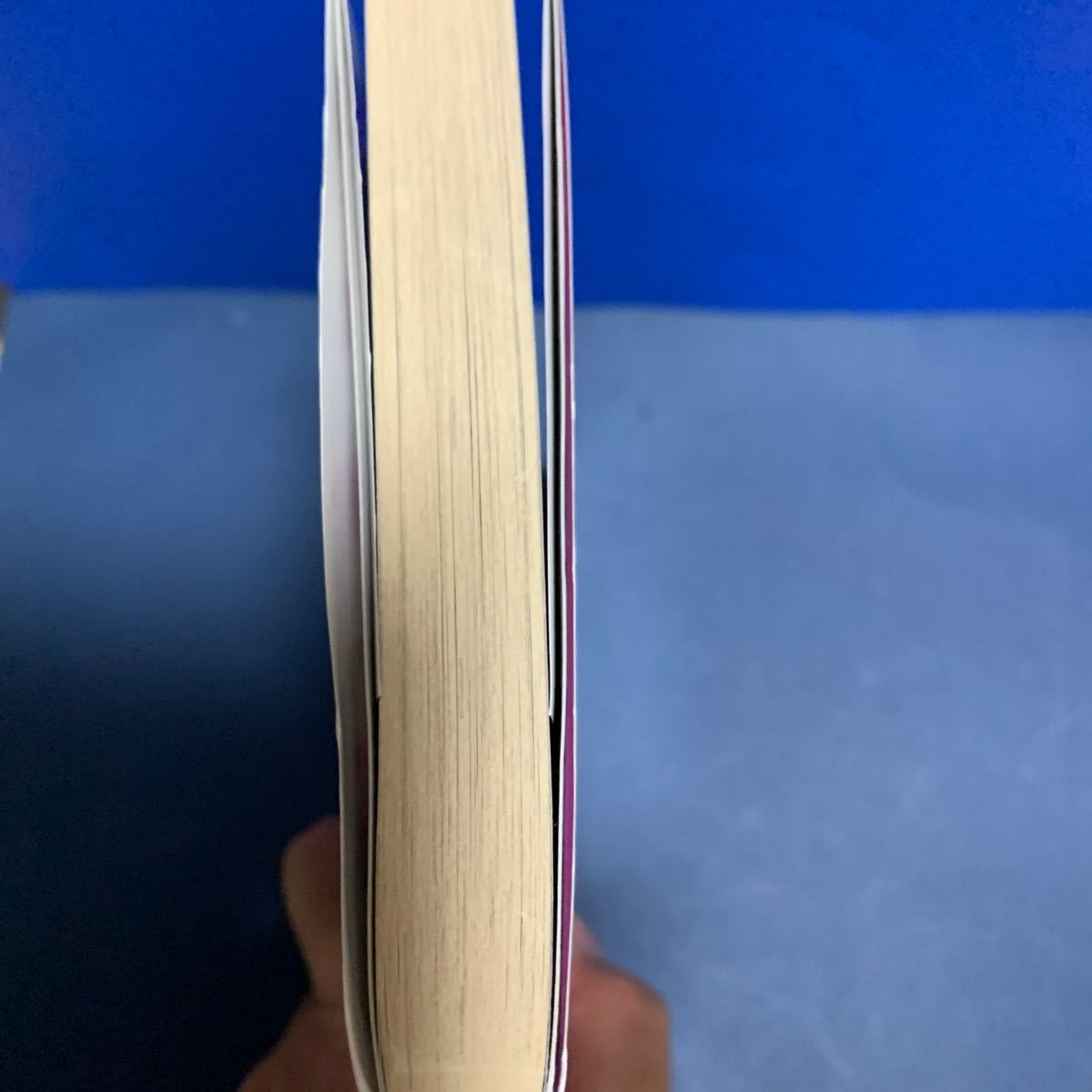 Paypayフリマ s社長の愛玩秘書 あくた琳子 Paypayフリマ s社長の愛玩秘書 あくた琳子