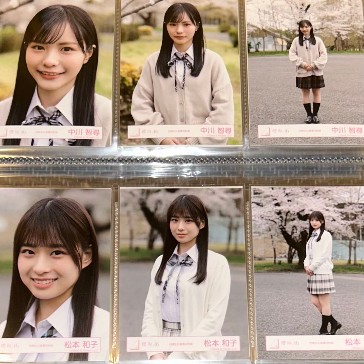 櫻坂46 マモリビト11×4 44種類 フルコンプ 櫻坂46 生写真 4期生お披露目制服衣装 全メンバーフルコンプ
