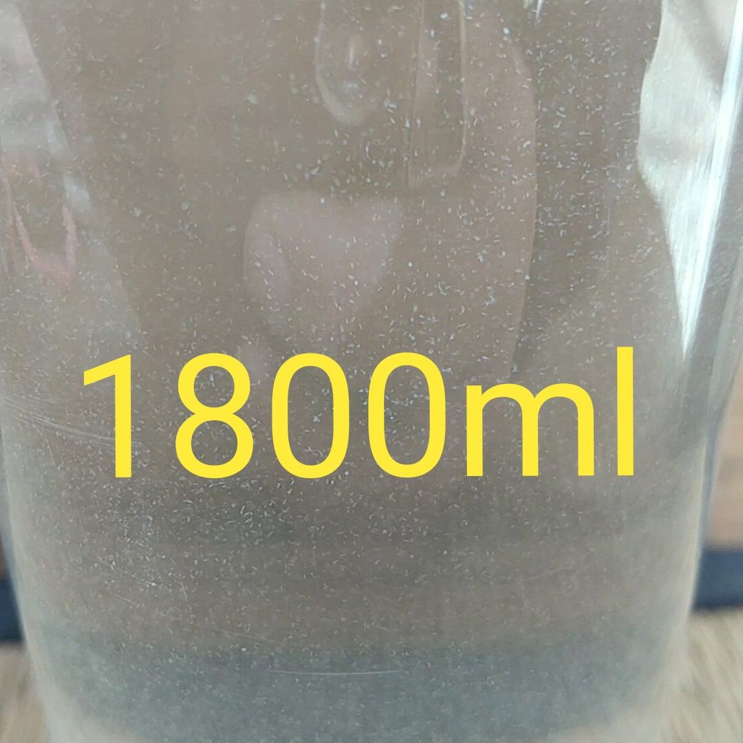 魚のエサ 1800ml。ペットボトル発送600ml×3本。ゾウリムシ メダカ 金魚 ミジンコ グリーンウォーター PSB
