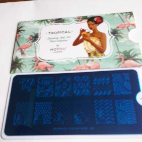 Moyou London ネイルスタンププレート　TROPICAL09