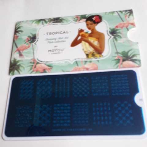 Moyou London ネイルスタンププレート　TROPICAL22_画像4