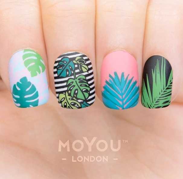 Moyou London ネイルスタンププレート　TROPICAL 28