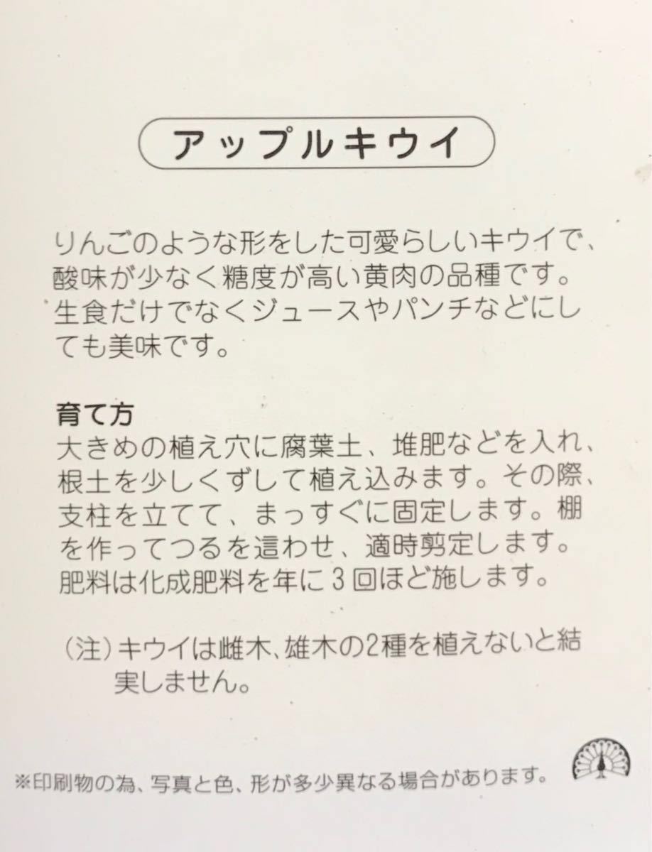 ヤフオク アップルスター キウイ りんごの形の美味しい キ ヤフオク アップルスター キウイ りんごの形の美味しい キ