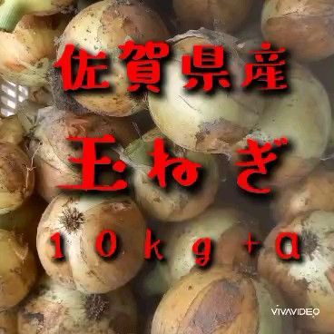 訳あり含む 佐賀県産 玉ねぎ 10kg+α