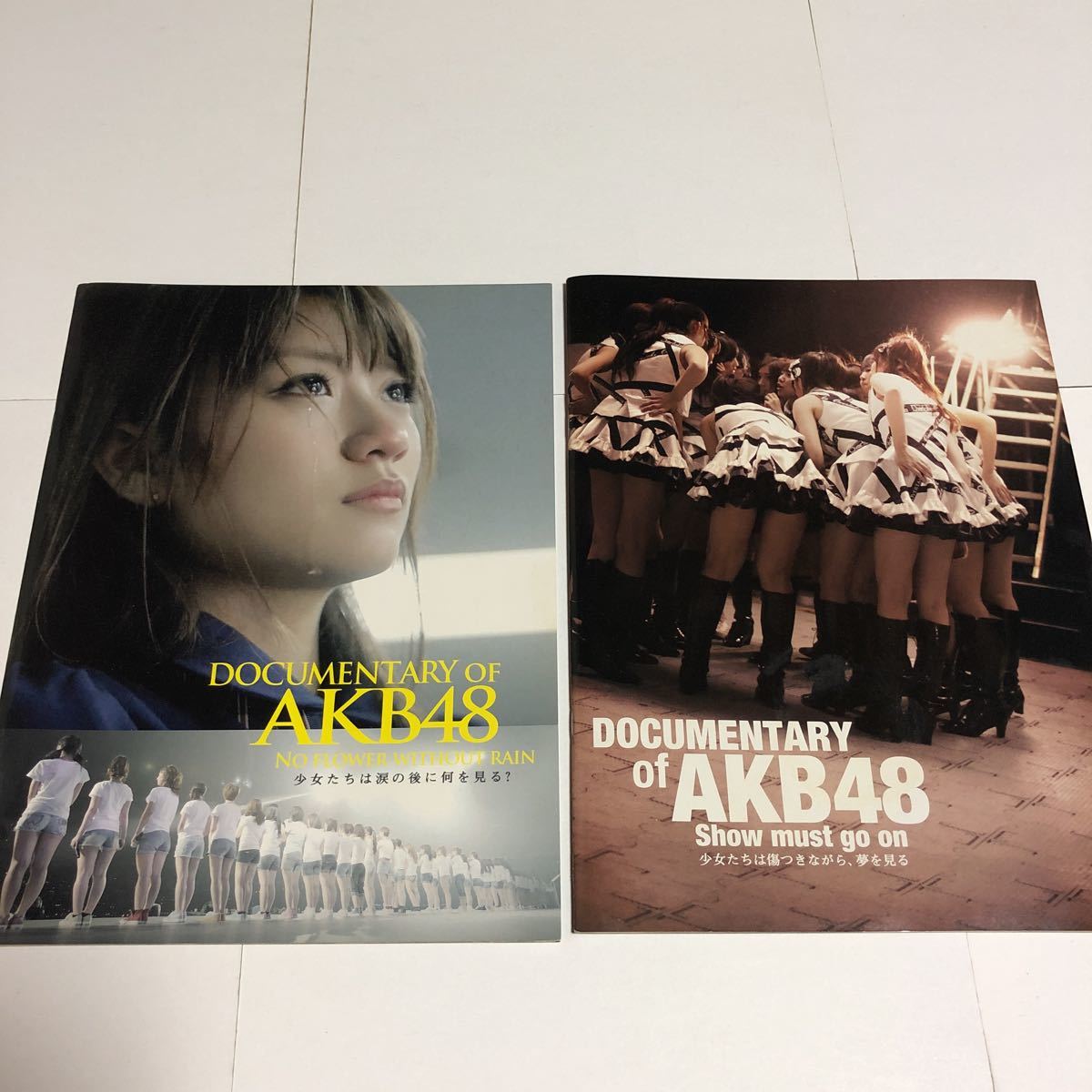 即決★パンフレット★DOCUMENTARY OF AKB48★2冊_画像1