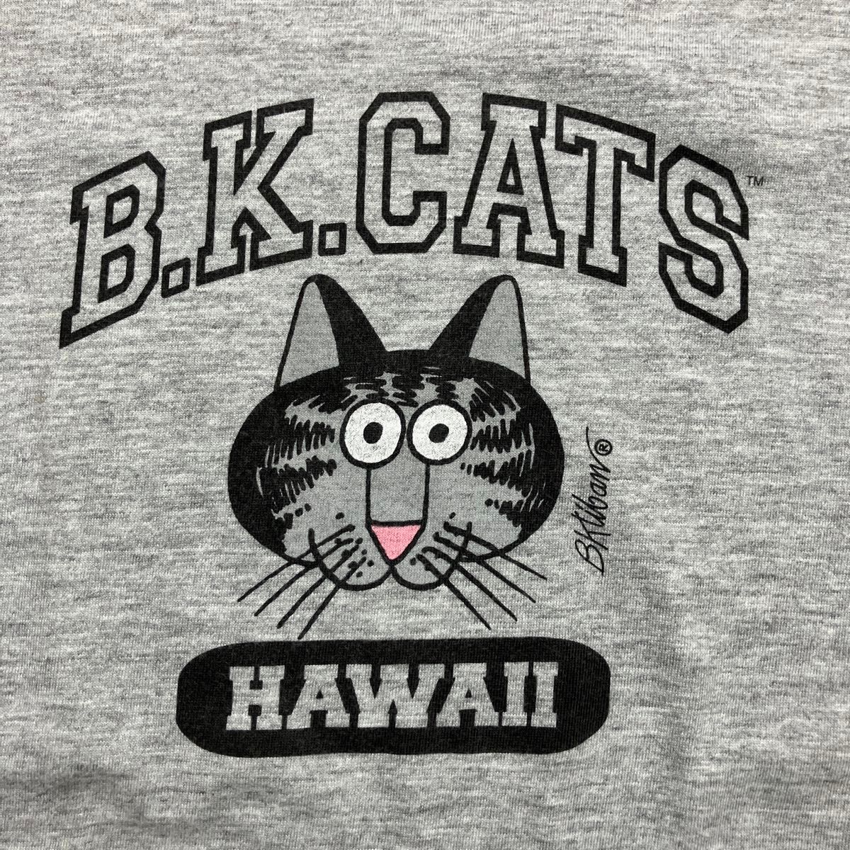 クレイジーシャツ 90s ビンテージ アメリカ製 USA製 アート 90s クリバンキャット クレイジーシャツ Tシャツ USA製 アメリカ