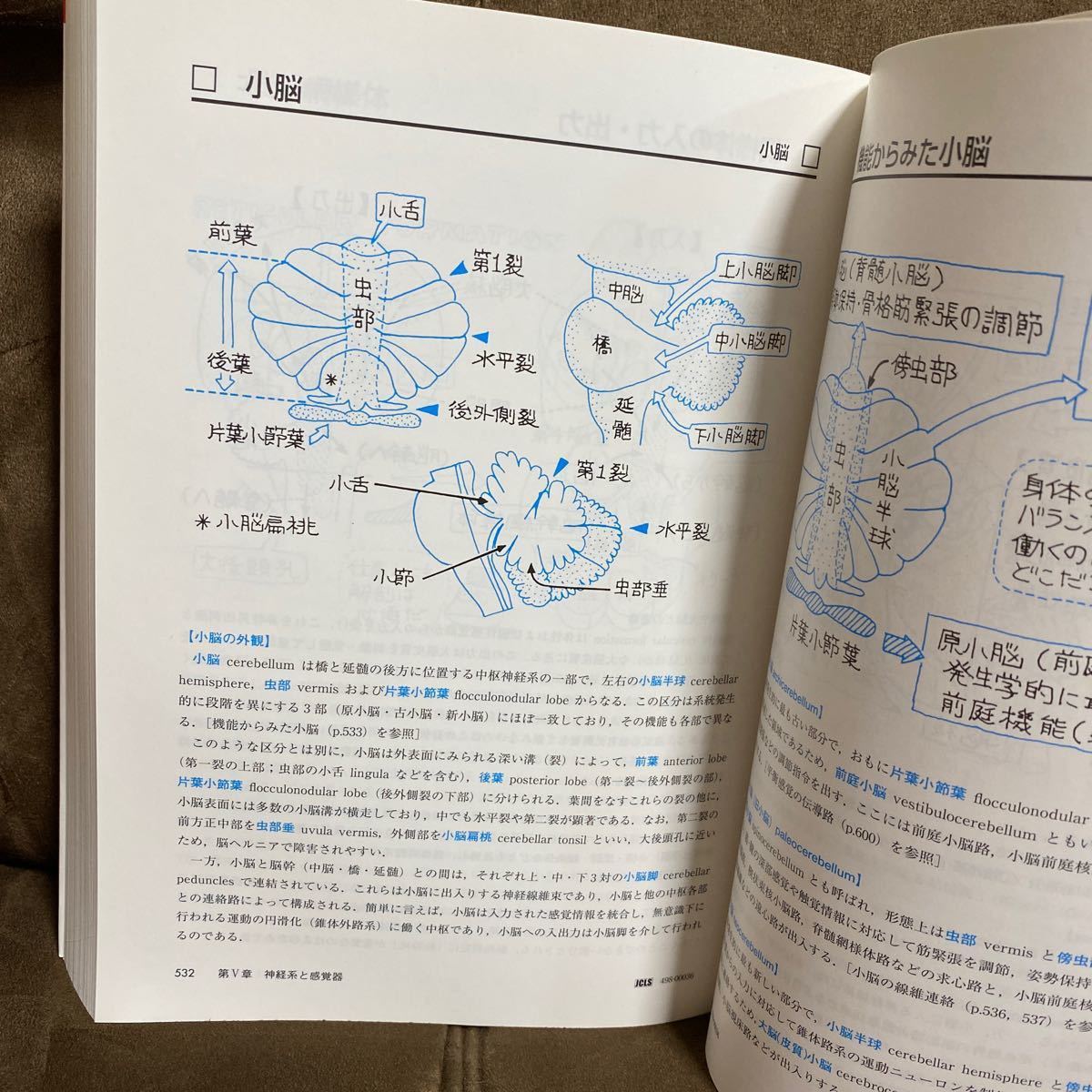 Paypayフリマ イラスト解剖学 松村譲児 Paypayフリマ イラスト解剖学 松村譲児