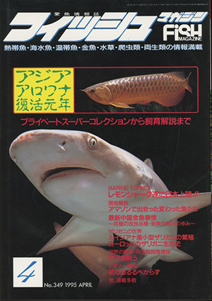 # fish magazine 1995.4 month number ( special collection : Asia osteoglossids restoration origin year ) inspection : boa * China goldfish * crayfish 