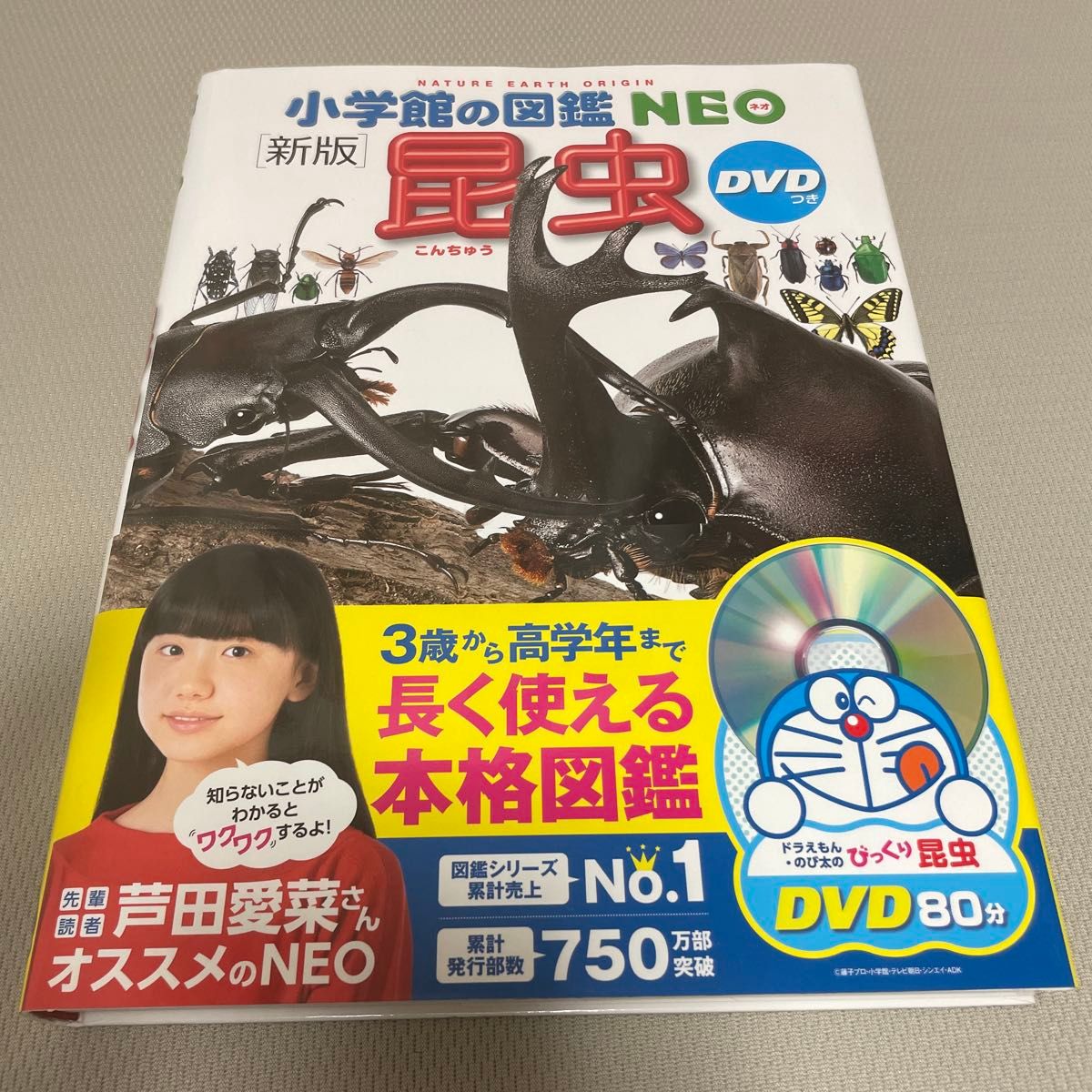 小学館の図鑑NEO 新版 昆虫 DVD無し 絵本 えほん 中古 知育 ず