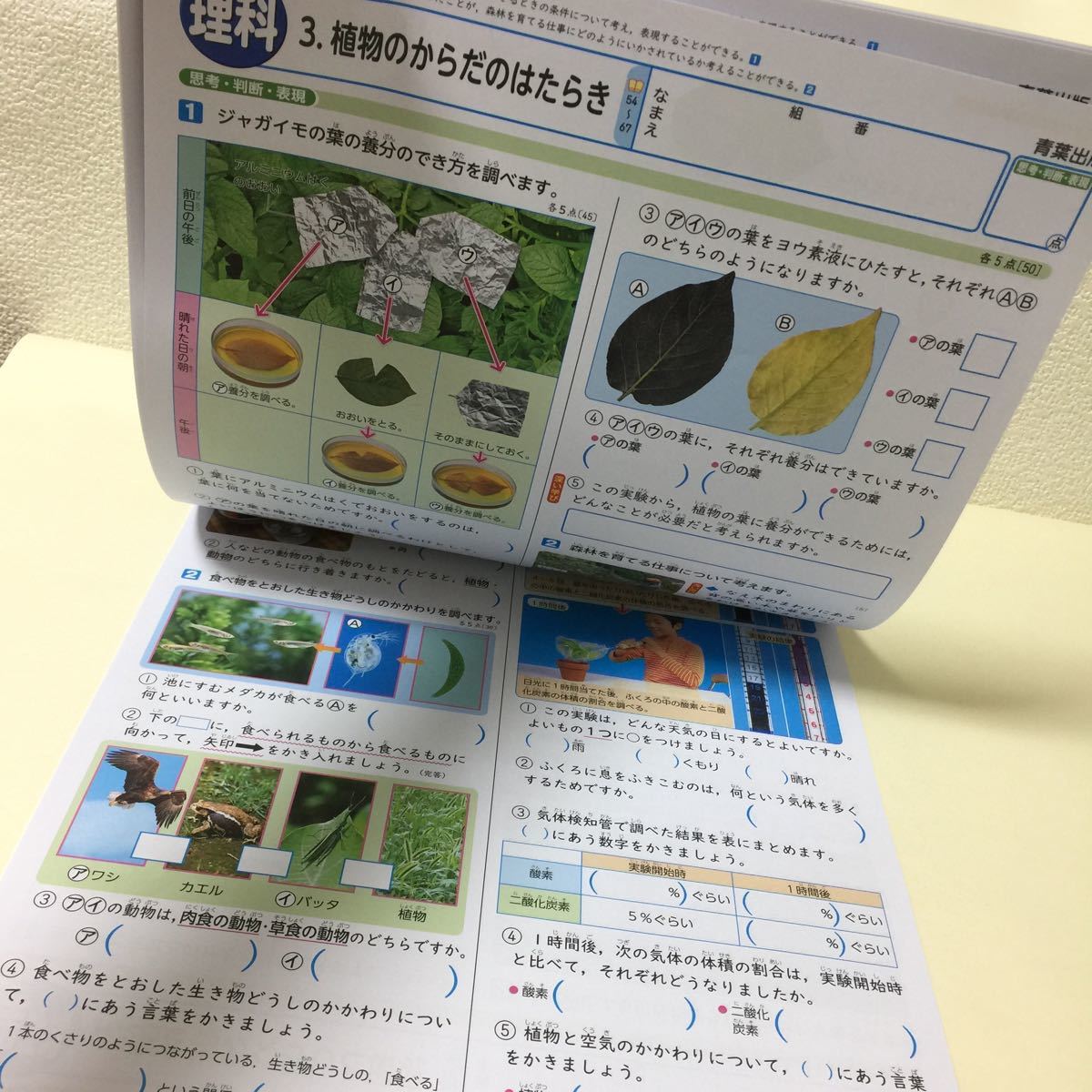 日本でも代理店などで販売 小学６年生 理解テスト７枚 Fa3d34c3 大阪通販サイト Pn Batam Go Id