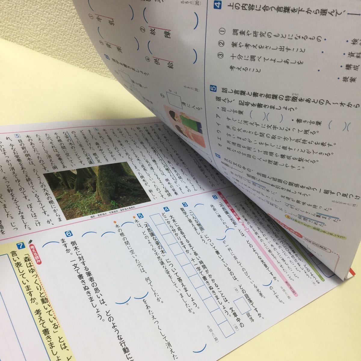 ヤフオク 28 家庭学習用に 6年生 六年生 国語a 漢字 テス