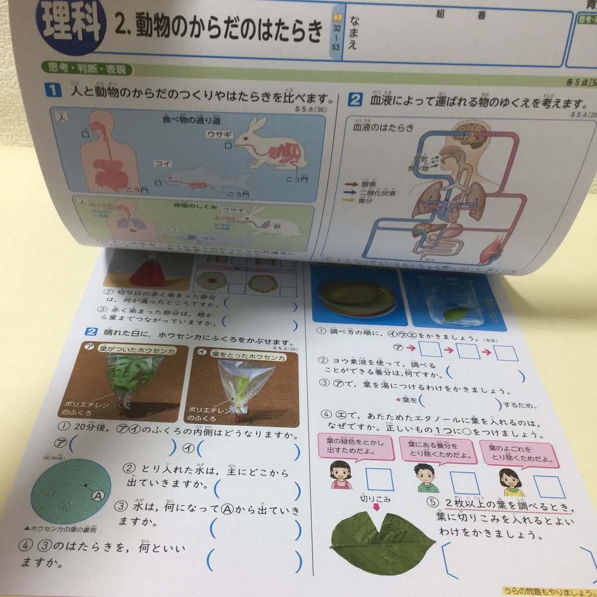 ヤフオク 28 家庭学習用に 6年生 六年生 理科 理科a テス