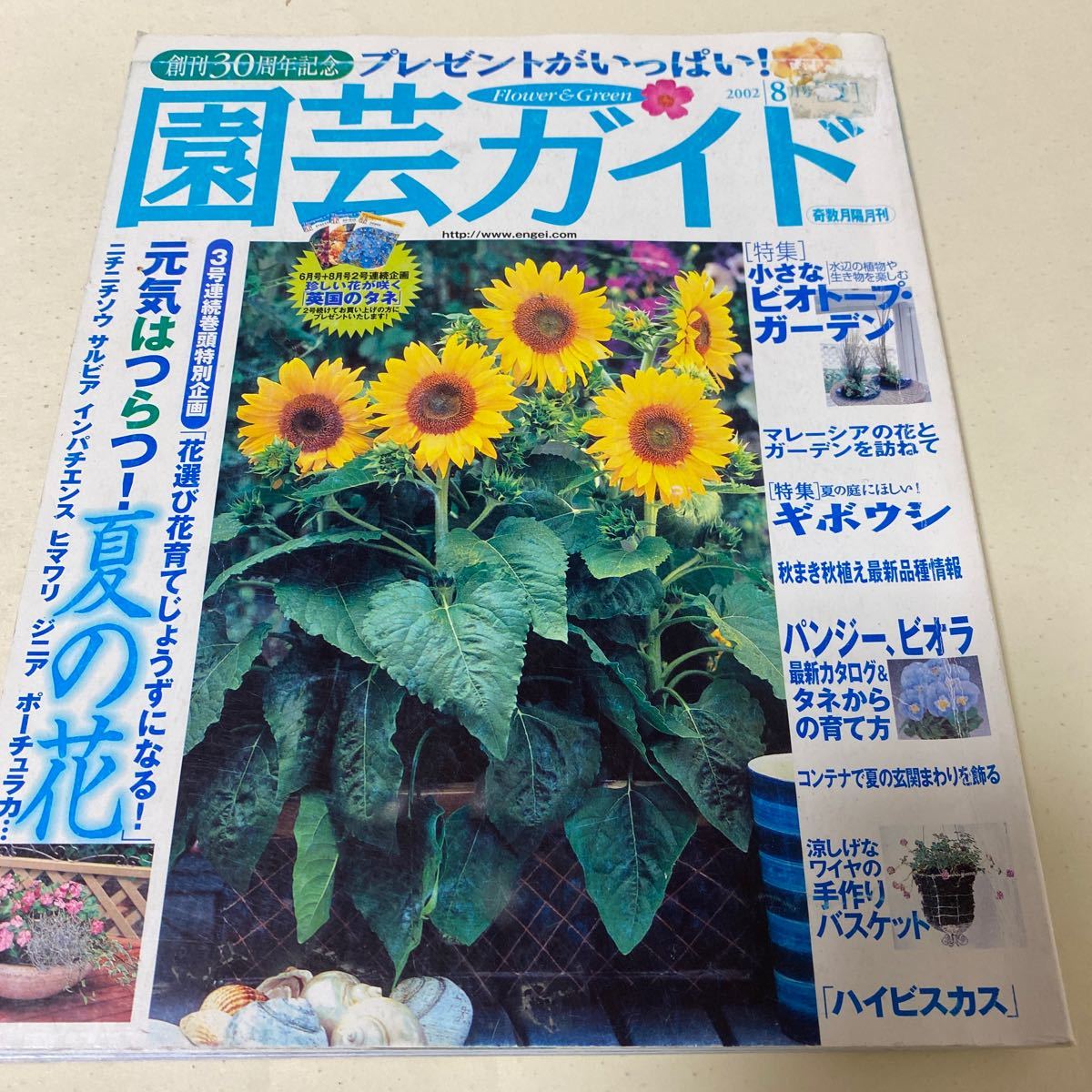 29 園芸ガイド2002年8月号 ビオトープ　ガーデン　ギボウシ　寄せ植え　ハイビスカス　バンジー　ビオラ品種　夏の花_画像1