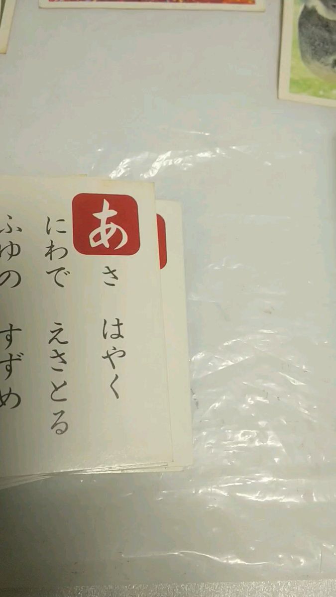 ひかりのくに しぜんかんさつカード ゲーム かるた 昭和レトロ 知育 パズル 虫 動物 文字 ひらがな 学習 昆虫 魚