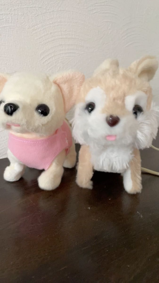 イワヤ リモコンでさんぽ チワワ ウサギ ぬいぐるみ おもちゃ 玩具 ペット ぬいぐるみ 犬 赤ちゃん